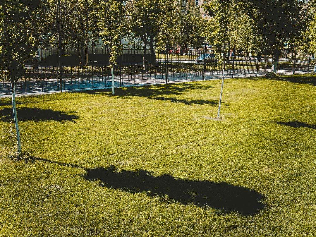Lawn Care services